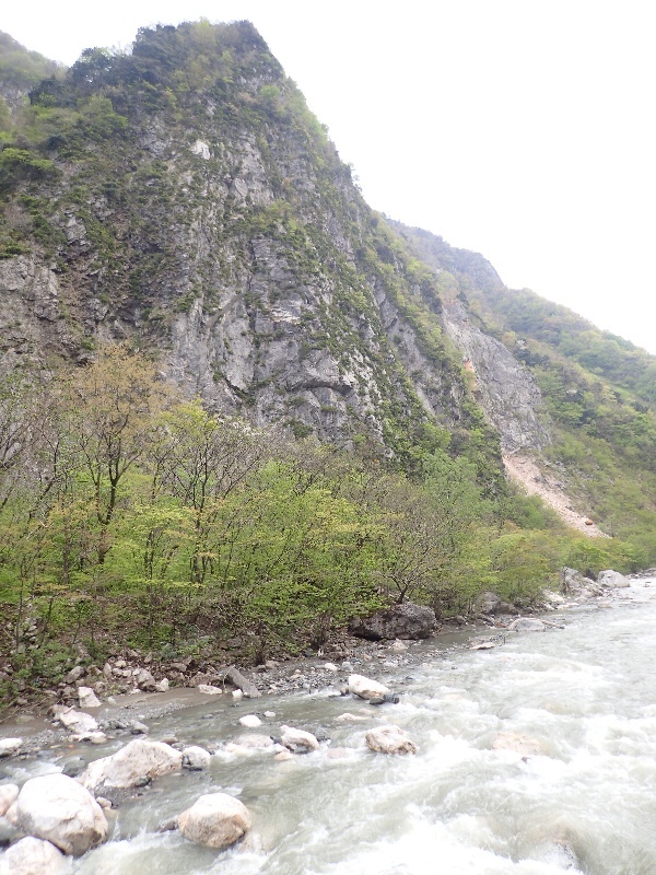 b0084270_06525717.jpg