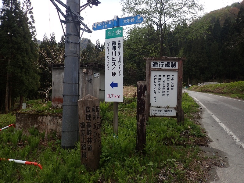 b0084270_06530388.jpg