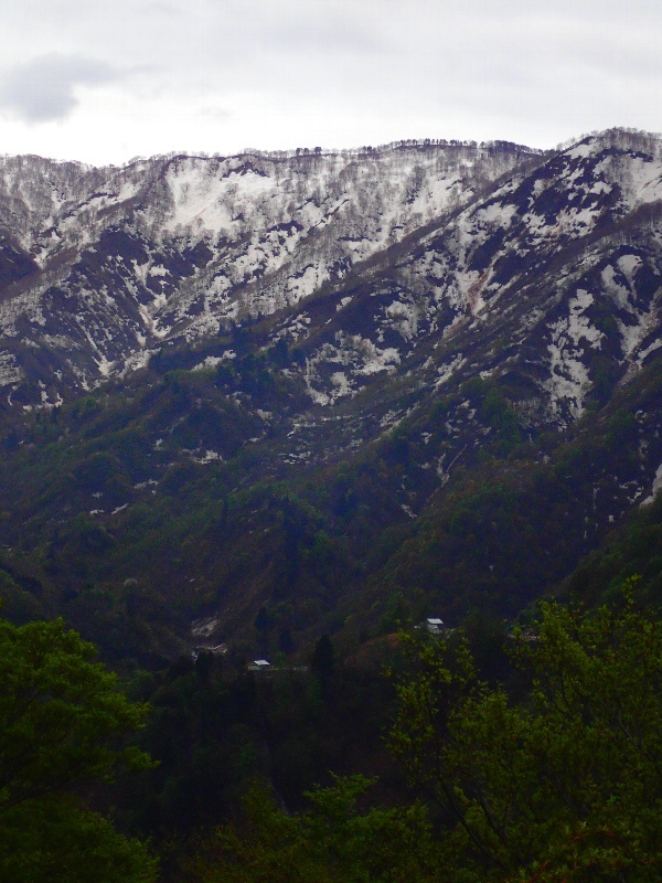 b0084270_06532416.jpg