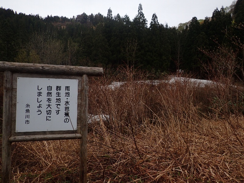 b0084270_07010176.jpg
