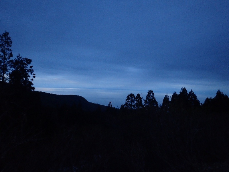 b0084270_07011266.jpg