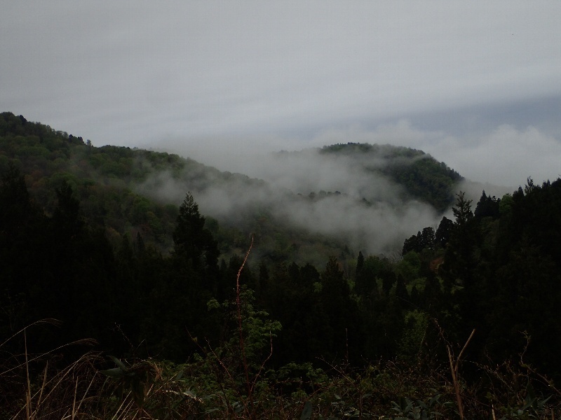 b0084270_07030733.jpg