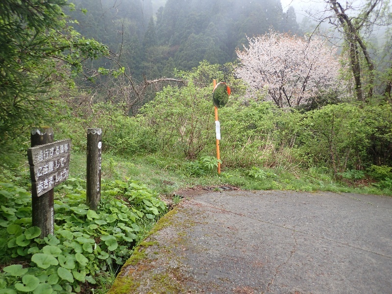 b0084270_07034034.jpg