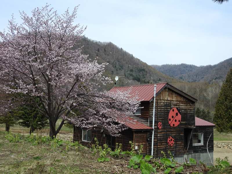 八剣山麓の桜_d0391670_22134792.jpg