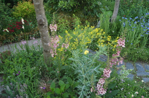 e0181373_22390060.jpg