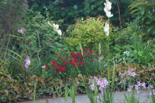 e0181373_22404478.jpg