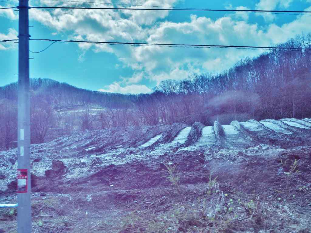 洞爺老三樹・有珠善光寺石割桜・中登別桜並木、壮瞥滝、地球岬・三階滝を巡るツアー　０５０２_c0183777_11473413.jpg