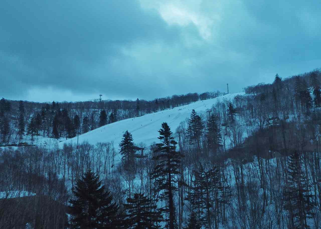 c0183777_11534393.jpg