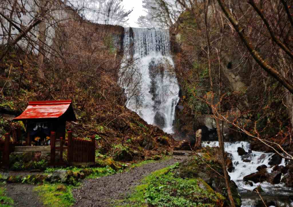 洞爺老三樹・有珠善光寺石割桜・中登別桜並木、壮瞥滝、地球岬・三階滝を巡るツアー　０５０２_c0183777_12164059.jpg