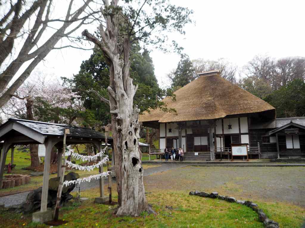 洞爺老三樹・有珠善光寺石割桜・中登別桜並木、壮瞥滝、地球岬・三階滝を巡るツアー　０５０２_c0183777_1218363.jpg