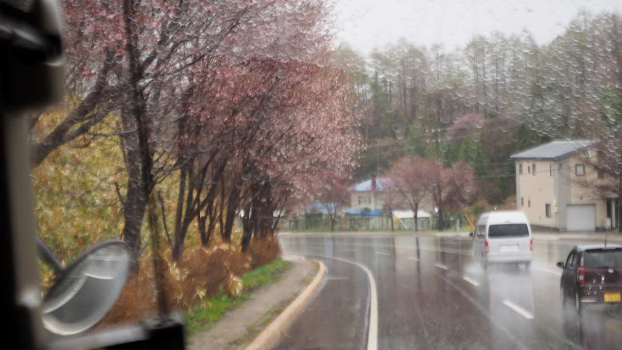 洞爺老三樹・有珠善光寺石割桜・中登別桜並木、壮瞥滝、地球岬・三階滝を巡るツアー　０５０２_c0183777_12562832.jpg