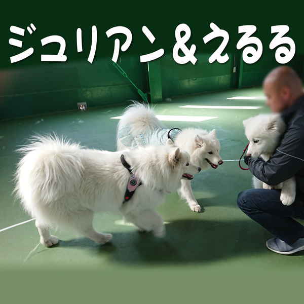 c0064678_13122649.jpg