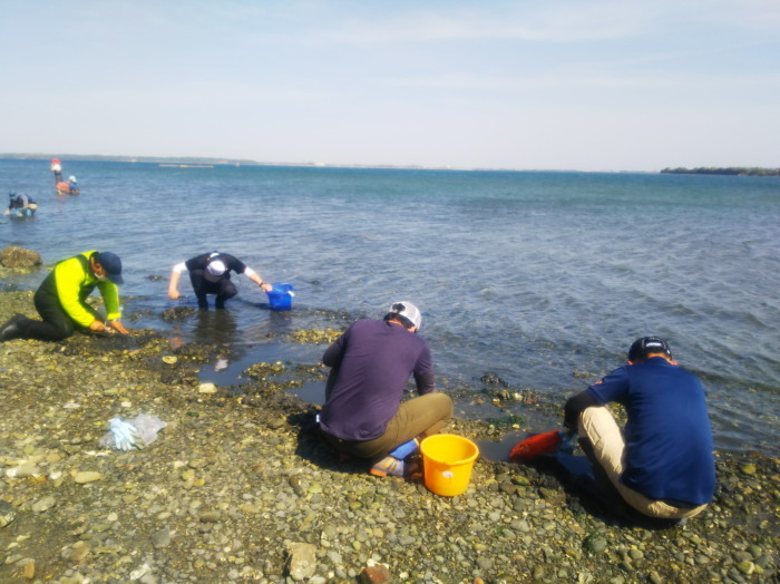 19gw 浜名湖で釣りと潮干狩り 気ままに釣り日記 19gw 浜名湖で釣りと潮干狩り 気ままに釣り日記
