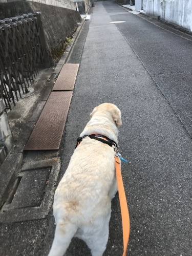 f0315081_20173421.jpeg