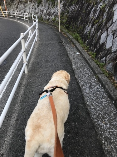 f0315081_20180246.jpeg