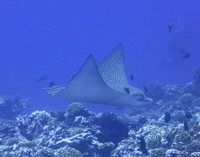 c0147790_13201802.jpg