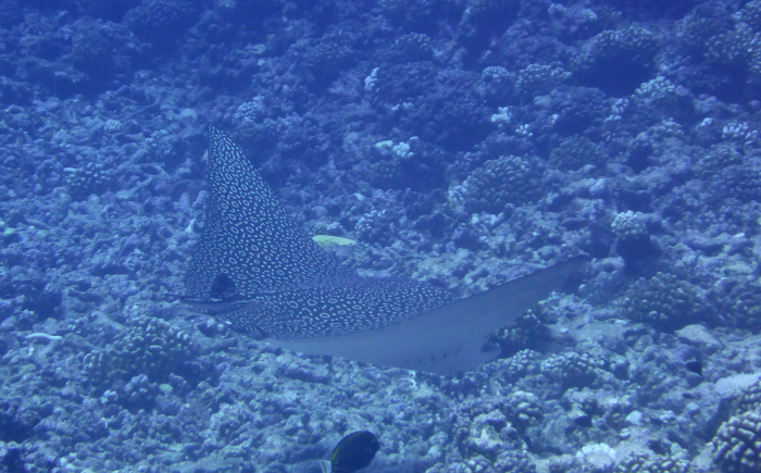 c0147790_16020673.jpg