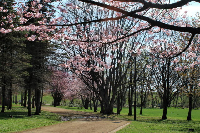 c0360399_23103790.jpg