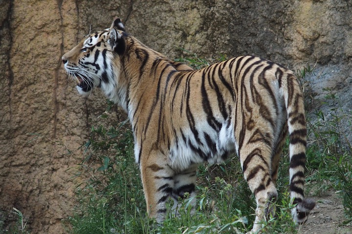 迷惑なGW_b0016600_2413952.jpg