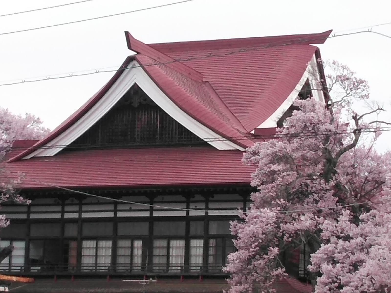 桜の花見ふたたび･････その２_b0331802_22363199.jpg