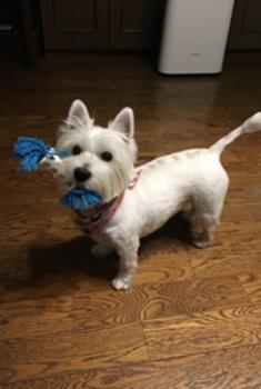 GWは釧路へ行こう！ツーリング　　札幌〜釧路    ２０１９０５０２〜０５０３_c0226202_19005037.jpeg