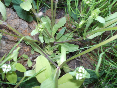 a0203003_20213677.jpg