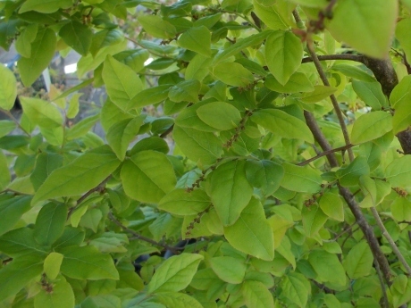 a0203003_20232231.jpg