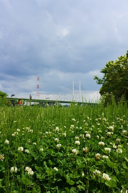 こんな日は自転車に乗って。_c0187503_17285551.jpg