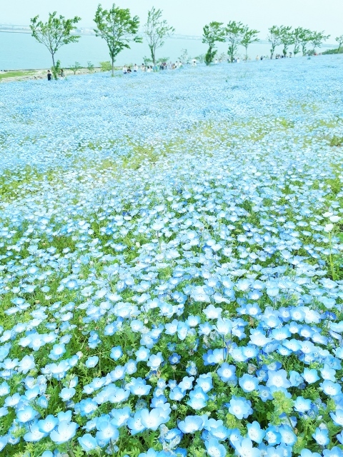 d0238608_17424030.jpg