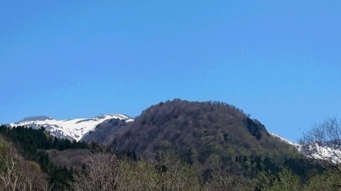 e0172608_17331760.jpg