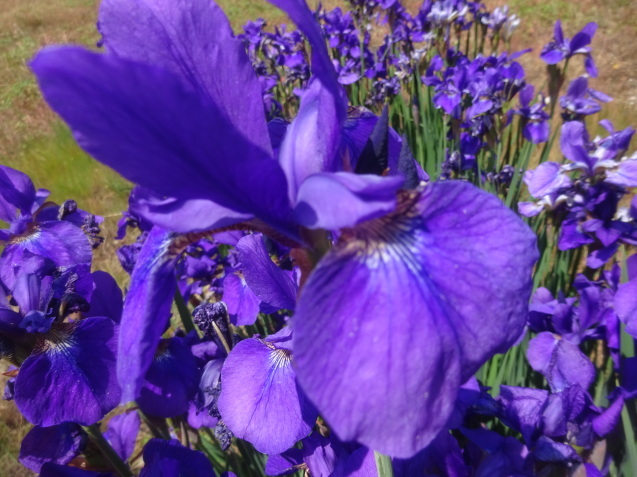 f0231709_13320125.jpg