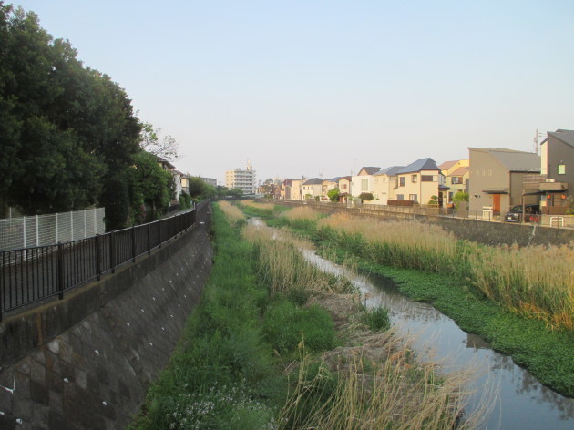 b0183111_08310442.jpg