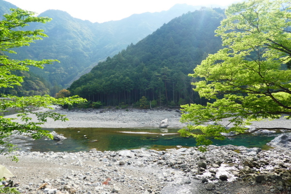 石楠花咲く　古ｹ丸山縦走 (1,210.9M)   ピﾂクアップ編_d0170615_10124576.jpg