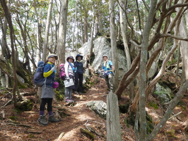 石楠花咲く　古ｹ丸山縦走 (1,210.9M)   ピﾂクアップ編_d0170615_10132344.jpg