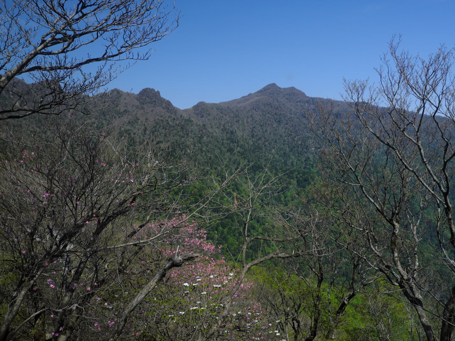 d0355116_14210875.jpg