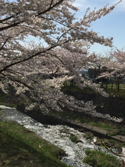 d0291717_00364188.jpeg