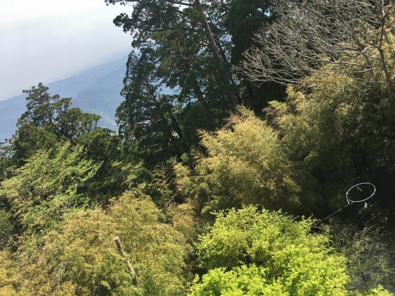 今年もこの日は秋葉山へ_b0220318_14015593.jpg