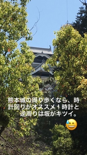 c0131818_19200302.jpeg