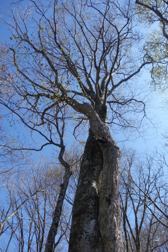 c0223019_21014177.jpg