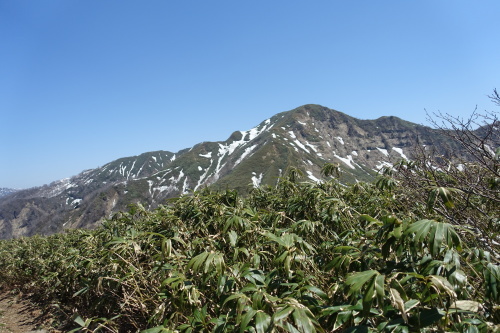 c0223019_23441975.jpg