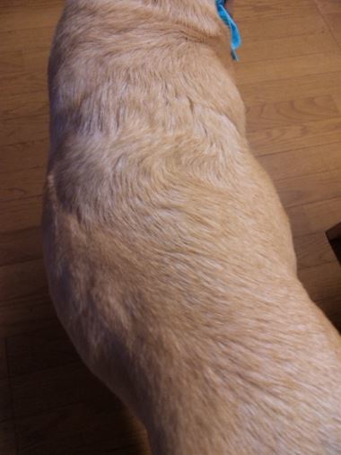 c0114121_00122193.jpg