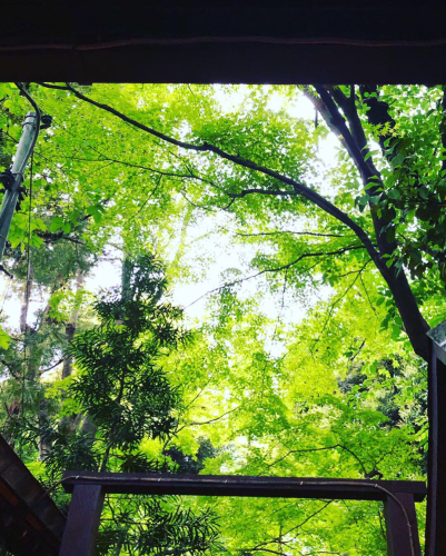 考える事は一緒。by Instagram_d0336521_09534953.jpg