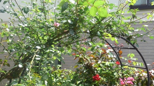 f0166824_17275321.jpg