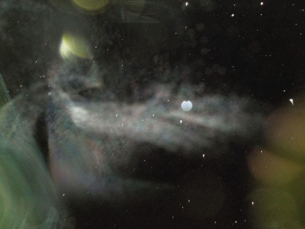 c0331825_11125345.jpg