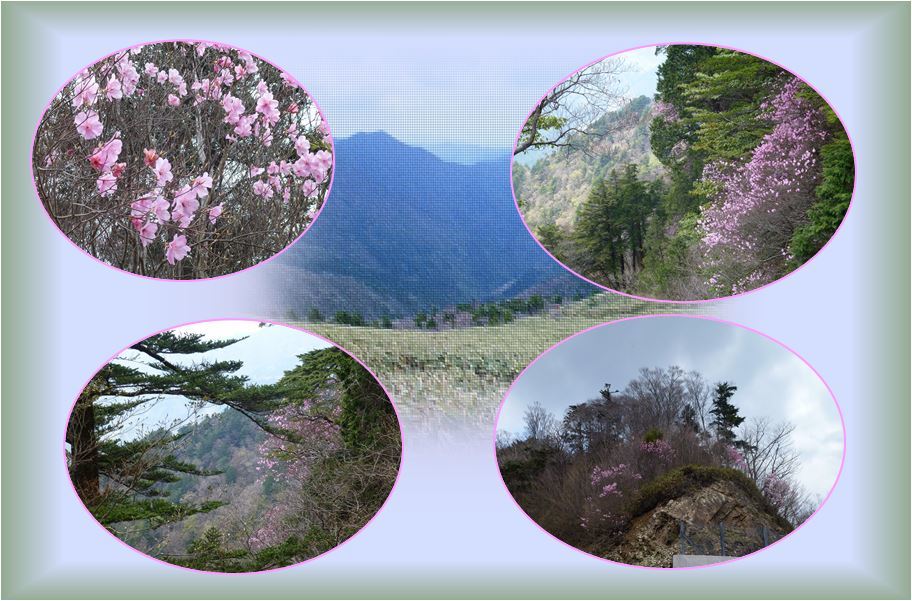 d0347025_19372640.jpg