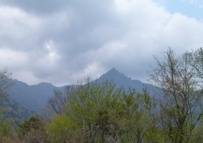 d0347025_19581739.jpg