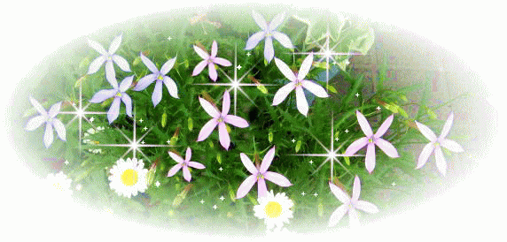d0347025_19591243.gif