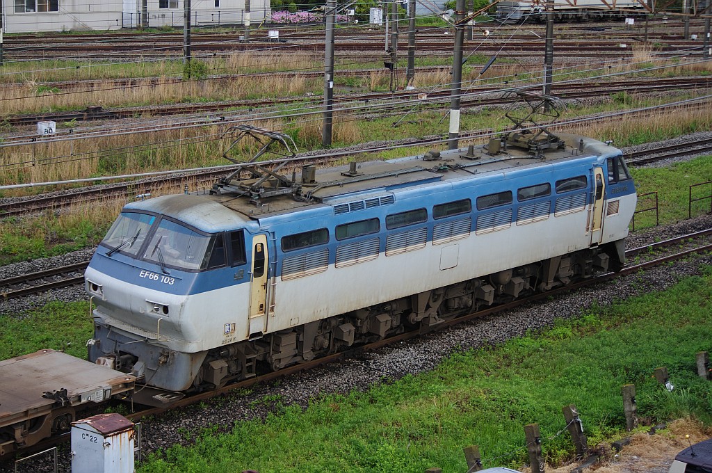 f0203926_1133010.jpg