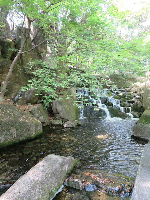 f0008729_19125950.jpg