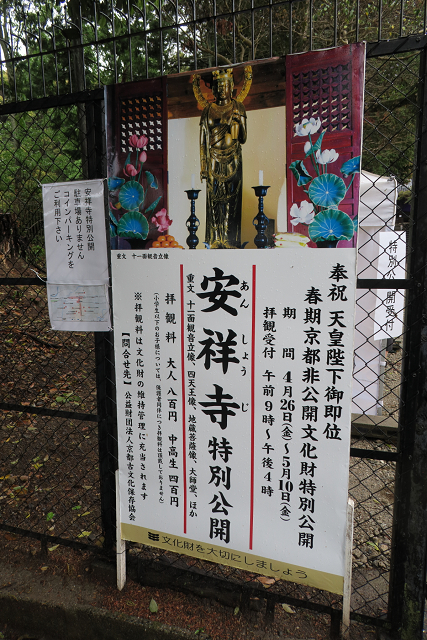 b0169330_1854958.jpg